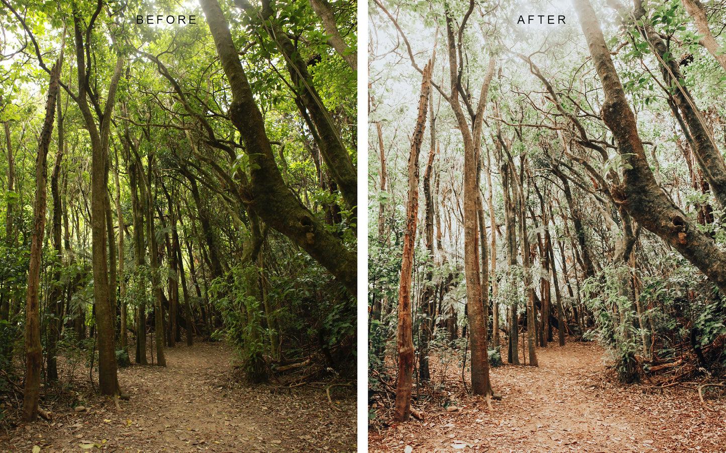 Wanderlust Preset Pack